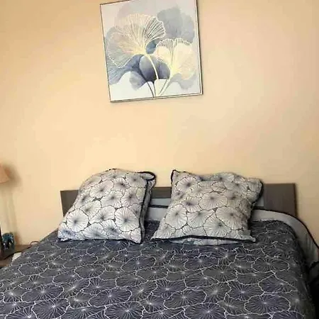 Maison Lumineuse 3 Bordeaux Sud Hébergement de vacances